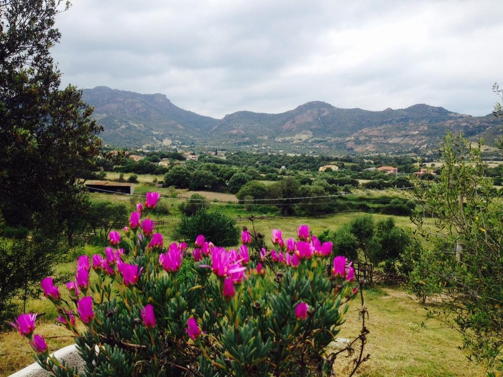 Agriturismo La Casa Delle Fate Loiri Porto San Paolo Экстерьер фото