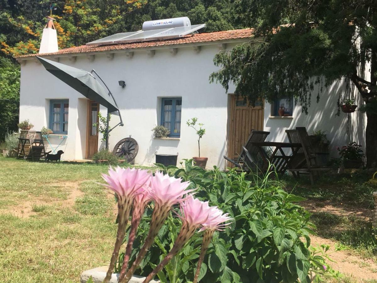 Agriturismo La Casa Delle Fate Loiri Porto San Paolo Экстерьер фото
